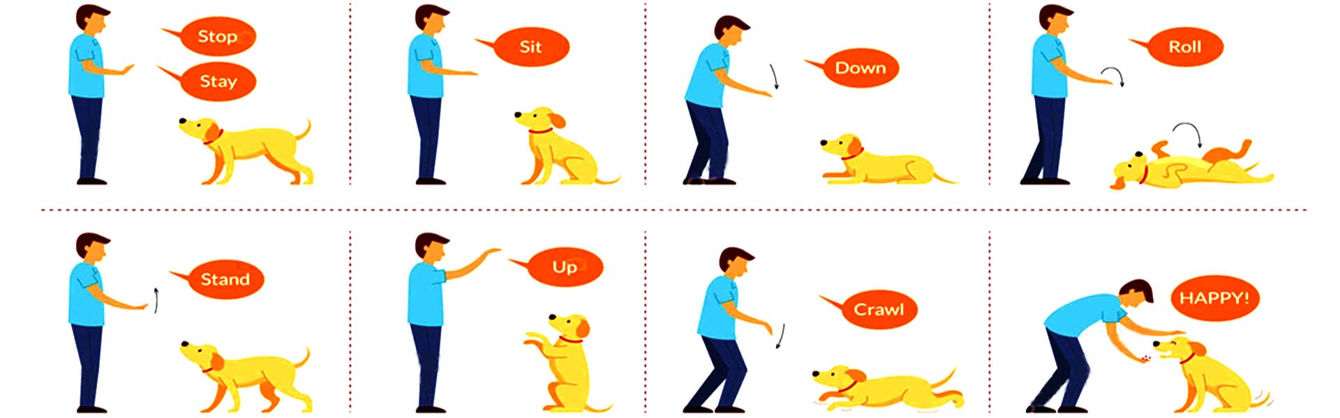 Eight hand gestures for training your dog