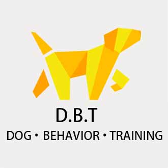 Dog Behavior Training